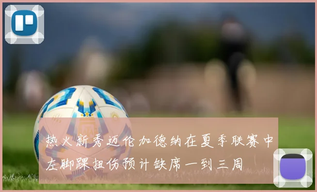 热火新秀迈伦加德纳在夏季联赛中左脚踝扭伤预计缺席一到三周