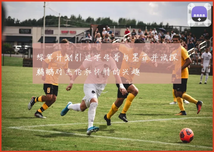 绿军计划引进字母哥与墨菲并试探鹈鹕对杰伦和怀特的兴趣